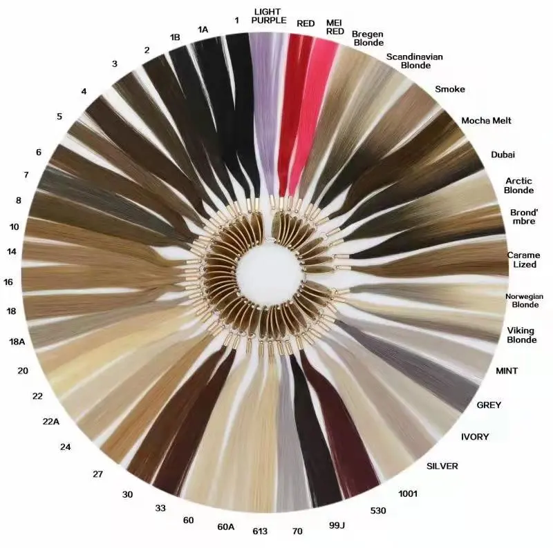 Circular hair color ring with labeled swatches